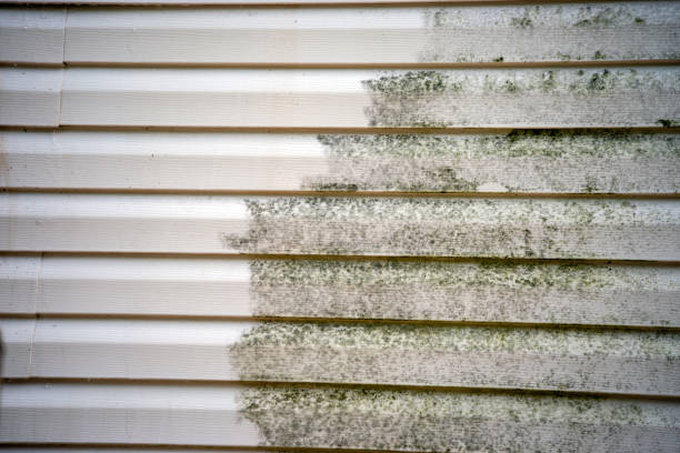  Day Valley, CA Siding Installation Pros