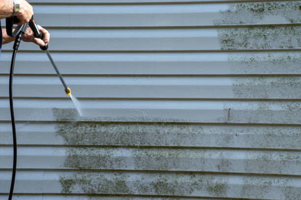 Best Stone Veneer Siding  in Day Valley, CA